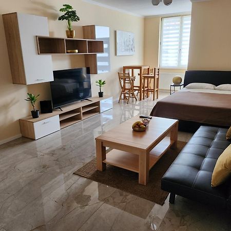 Studio Apartman Borlin Karlovac Zewnętrze zdjęcie
